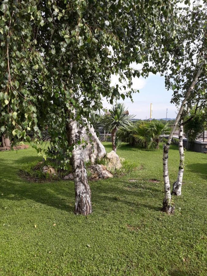 Appartamento Greta Cavaion Veronese Exteriör bild
